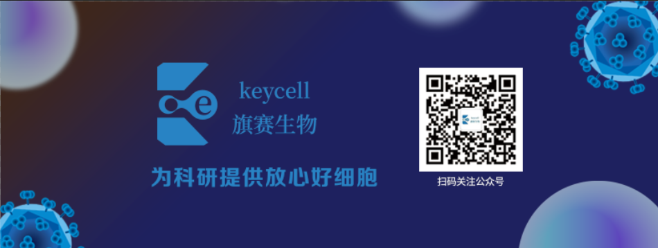 旗赛宣传名片